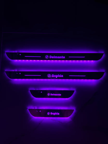 Custom LED Door Light
